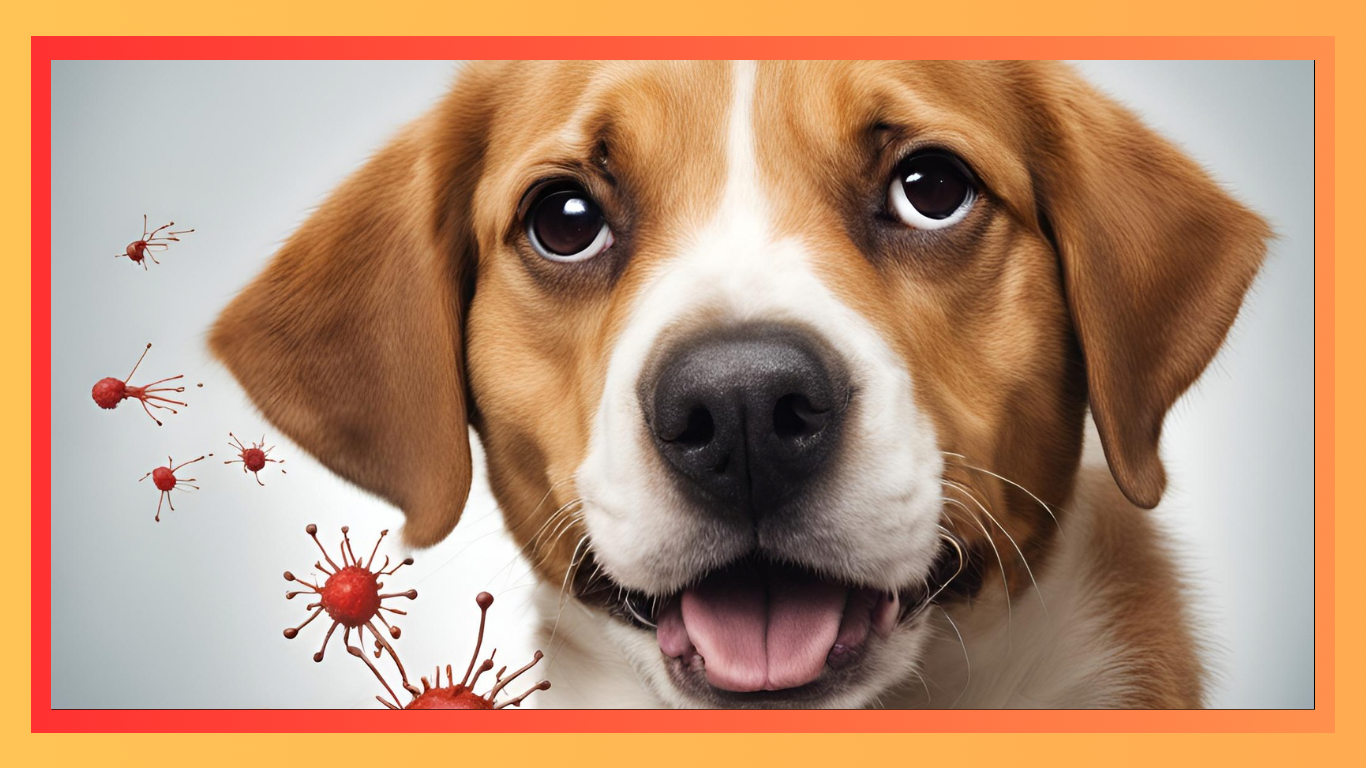 Parvovirus and Canine Waste: The Risks Hiding in Your Yard