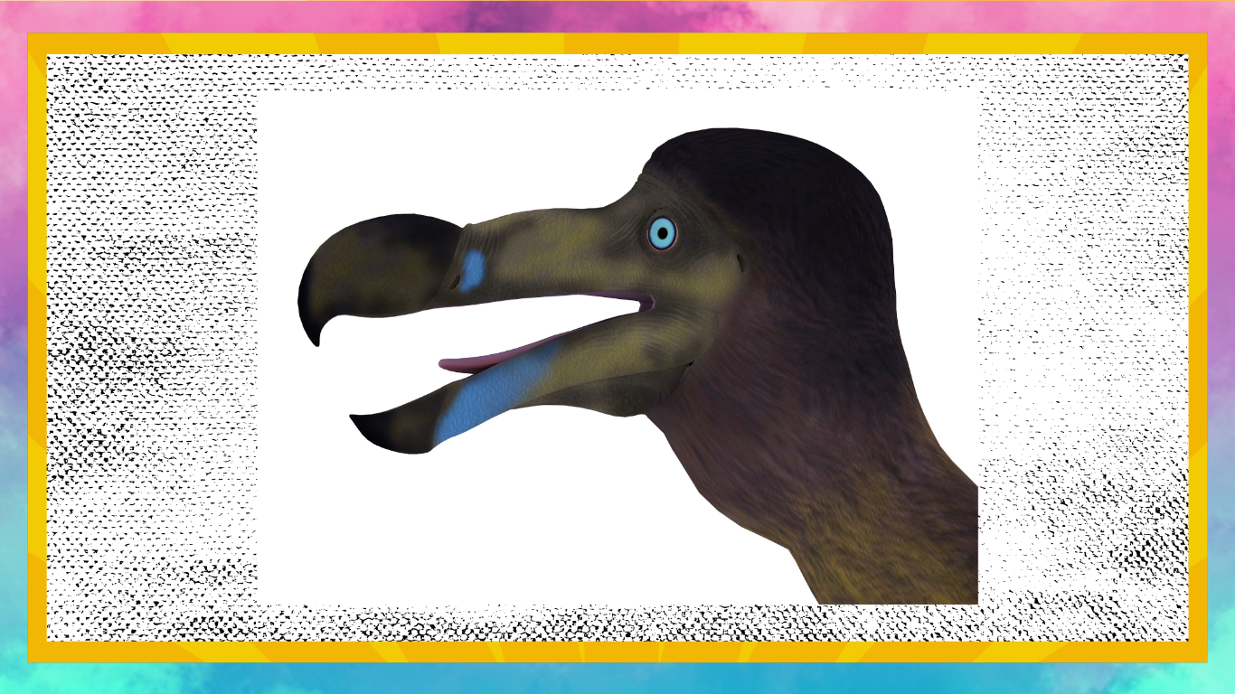 Gone But Not Forgotten: Eleven Animals Lost in the Last Three Centuries