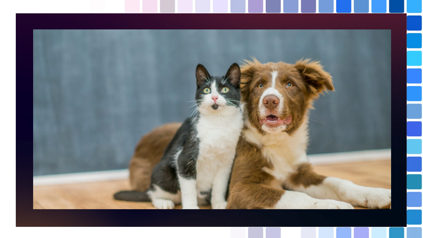 Neutering and Spaying Pets: The Pros and Cons