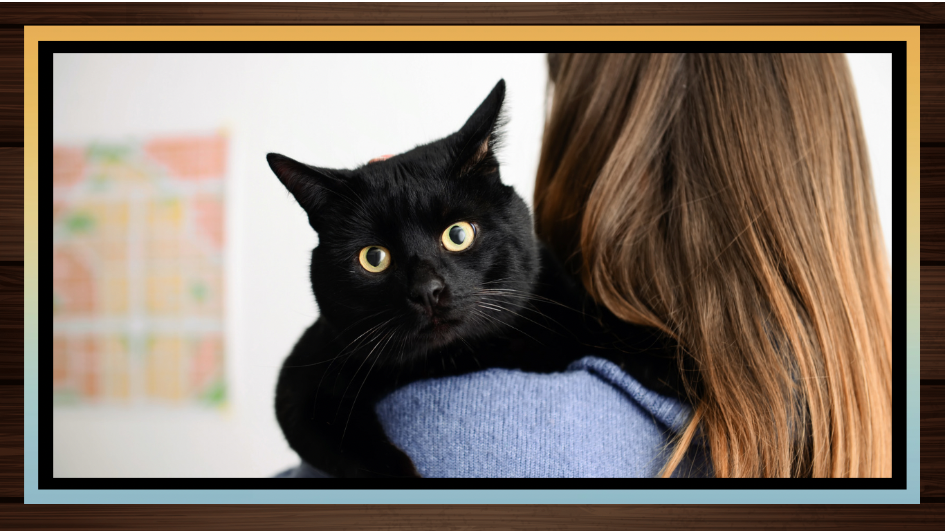 Why Cats Imitate Their Owners.