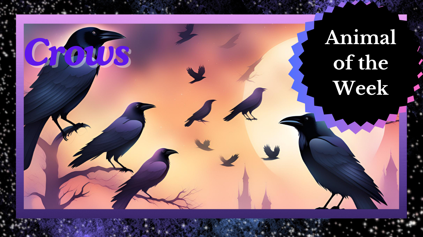 Crows: The Brilliant Birds of Mystery and Myth