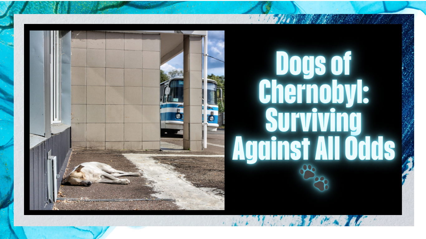 Dogs of Chernobyl: Surviving Against All Odds