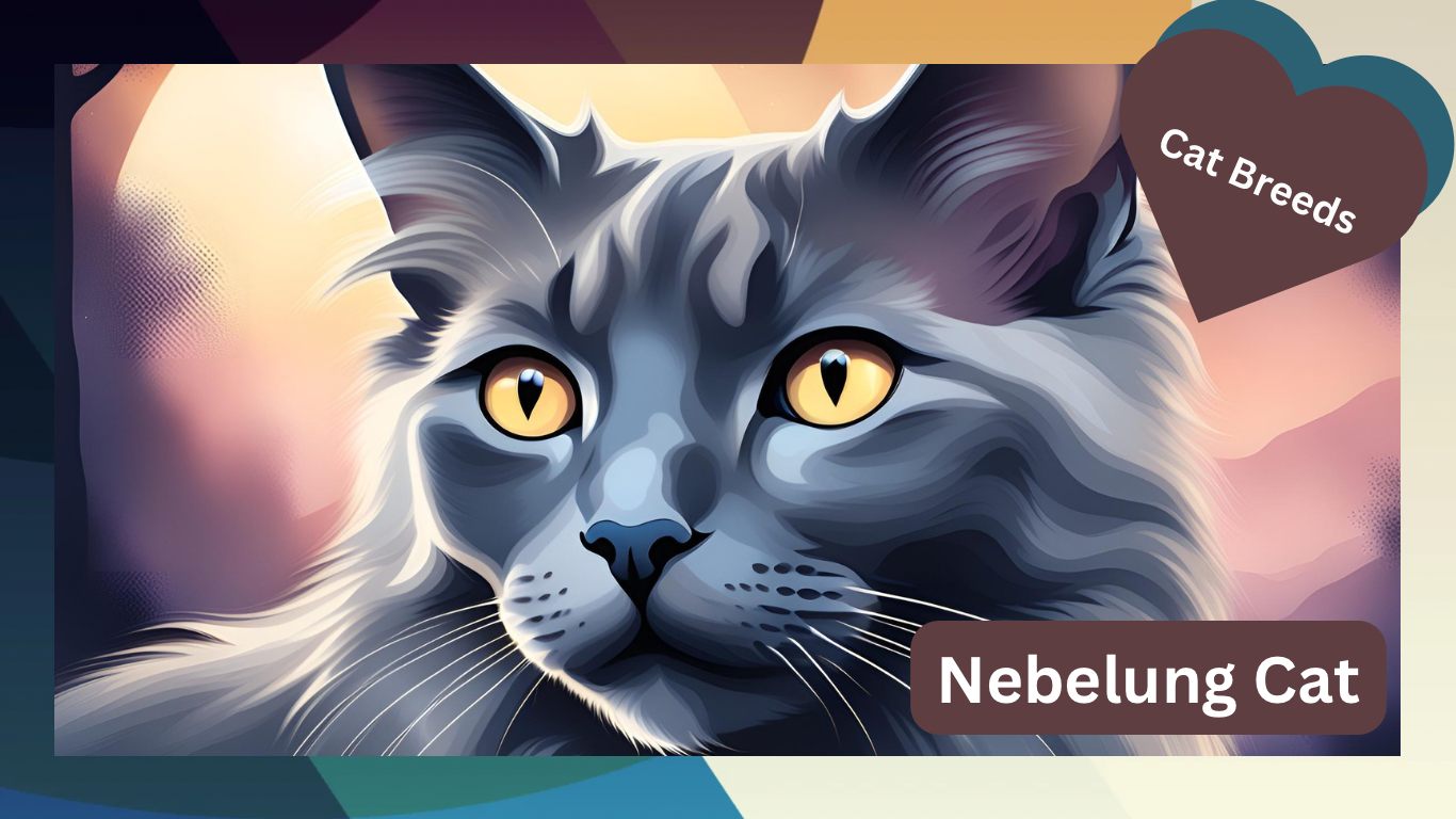 Nebelung Cats: The Enigmatic Blue Beauties