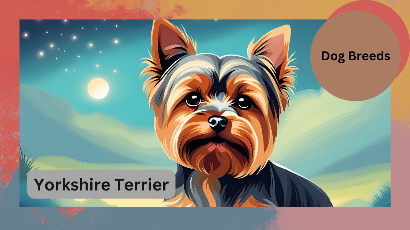 The Yorkshire Terrier: A Tiny Dog with a Big Personality