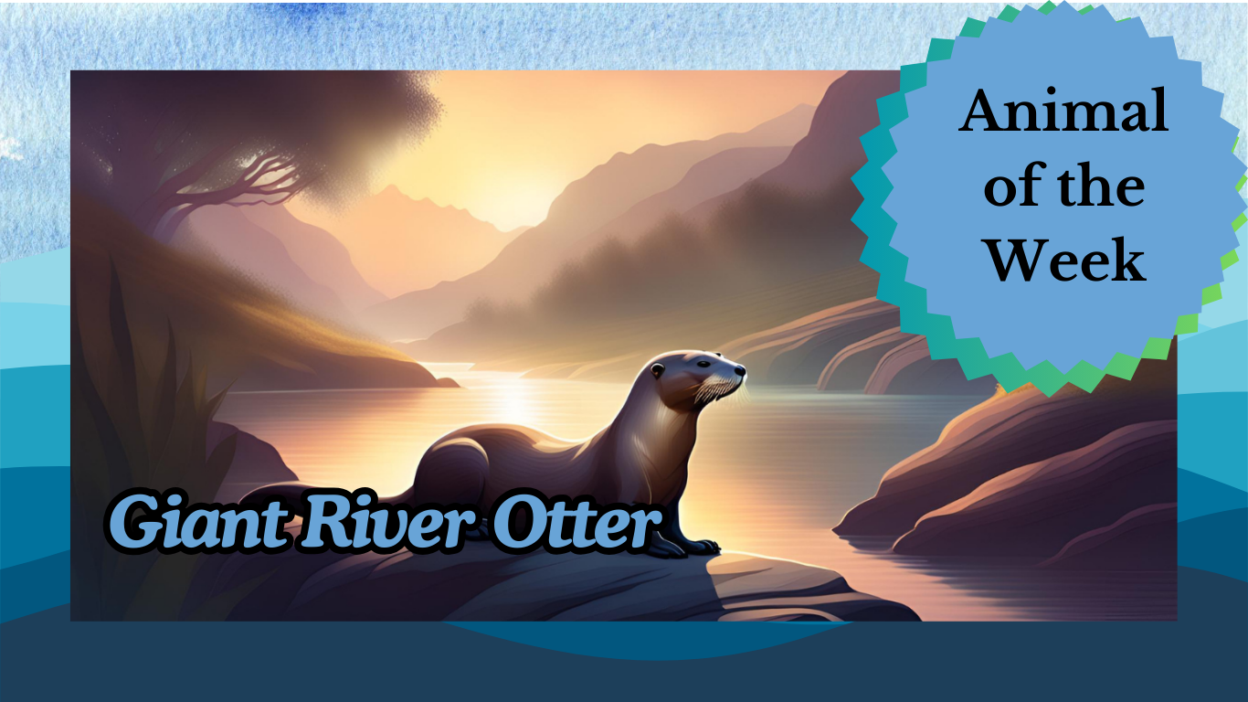 The Giant River Otter: South America’s Playful Predator