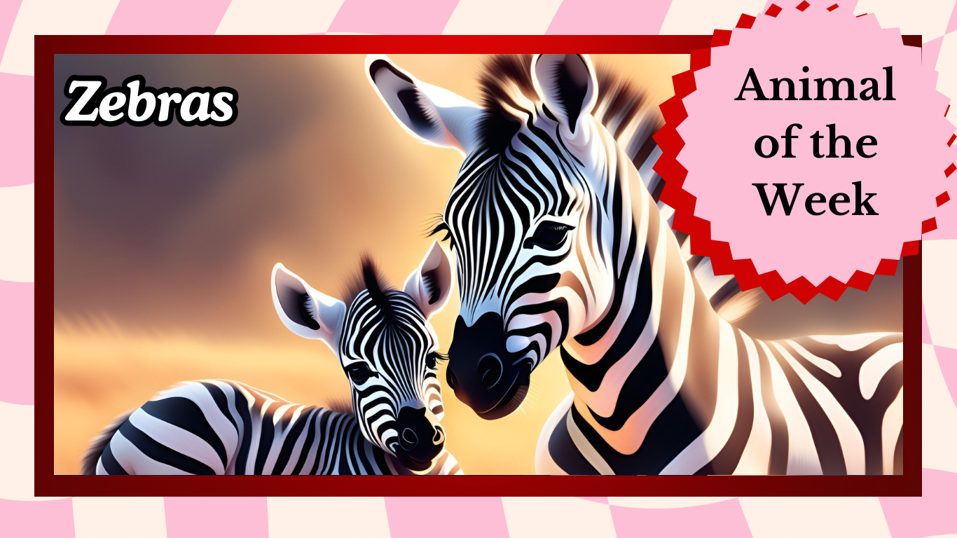 Stripes in the Wild : The Fascinating World of Zebras