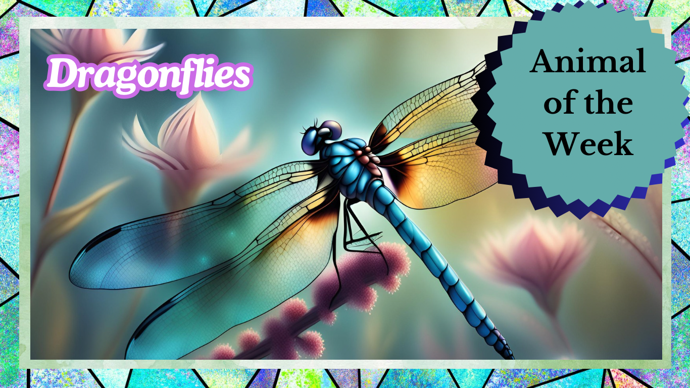 Dragonflies: Nature’s Aerial Acrobats and Ancient Flyers