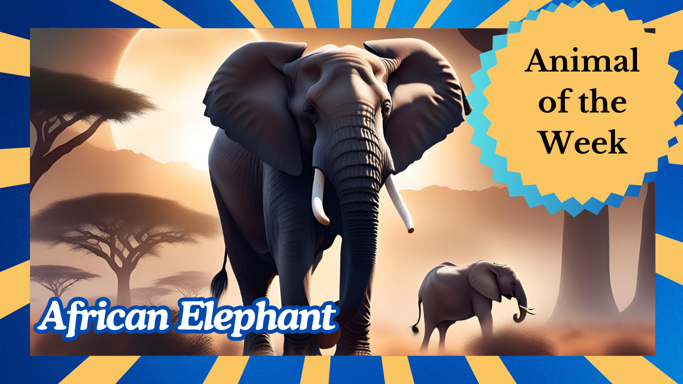 Giants of the Savannah: The Majestic African Elephant