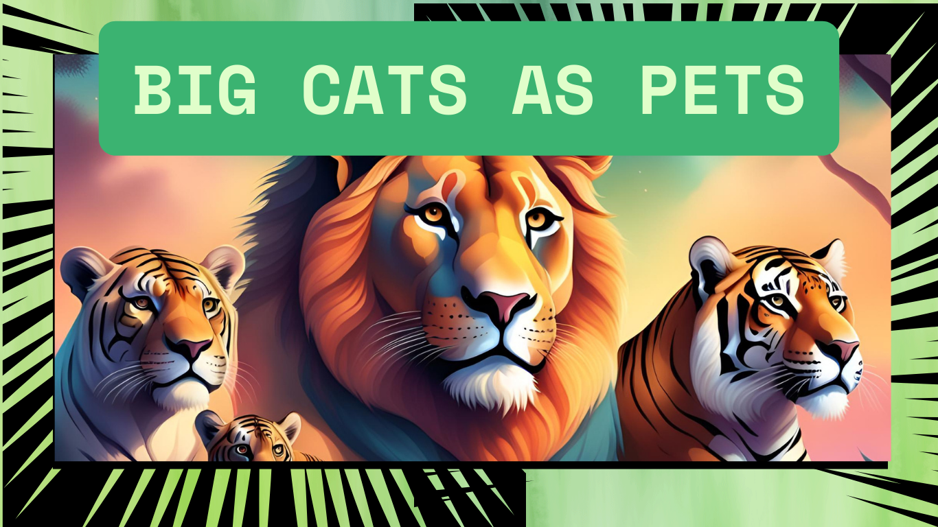 Myths and Realities of Keeping Big Cats as Pets