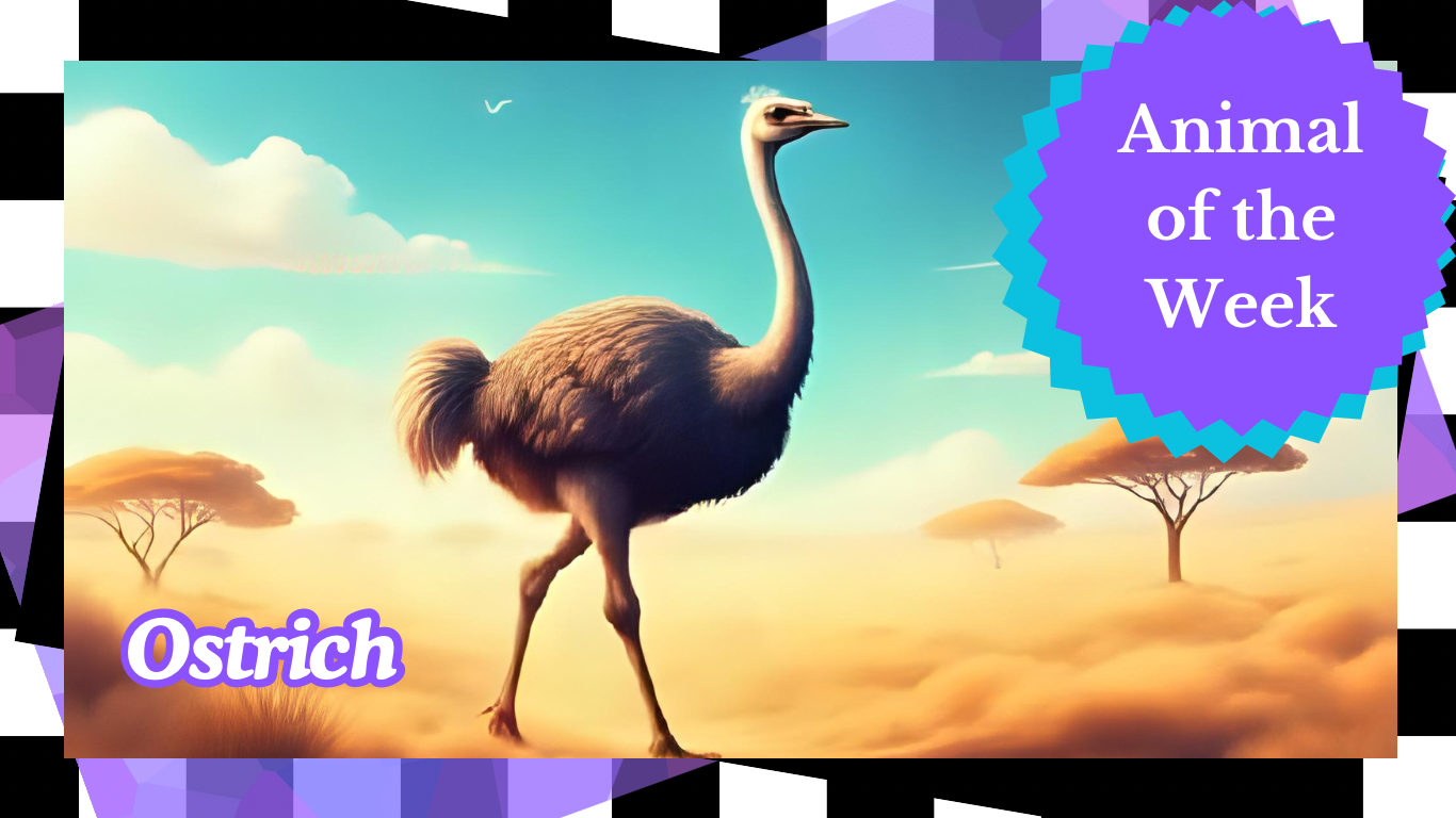 The Ostrich: Nature’s Most Extraordinary Flightless Bird