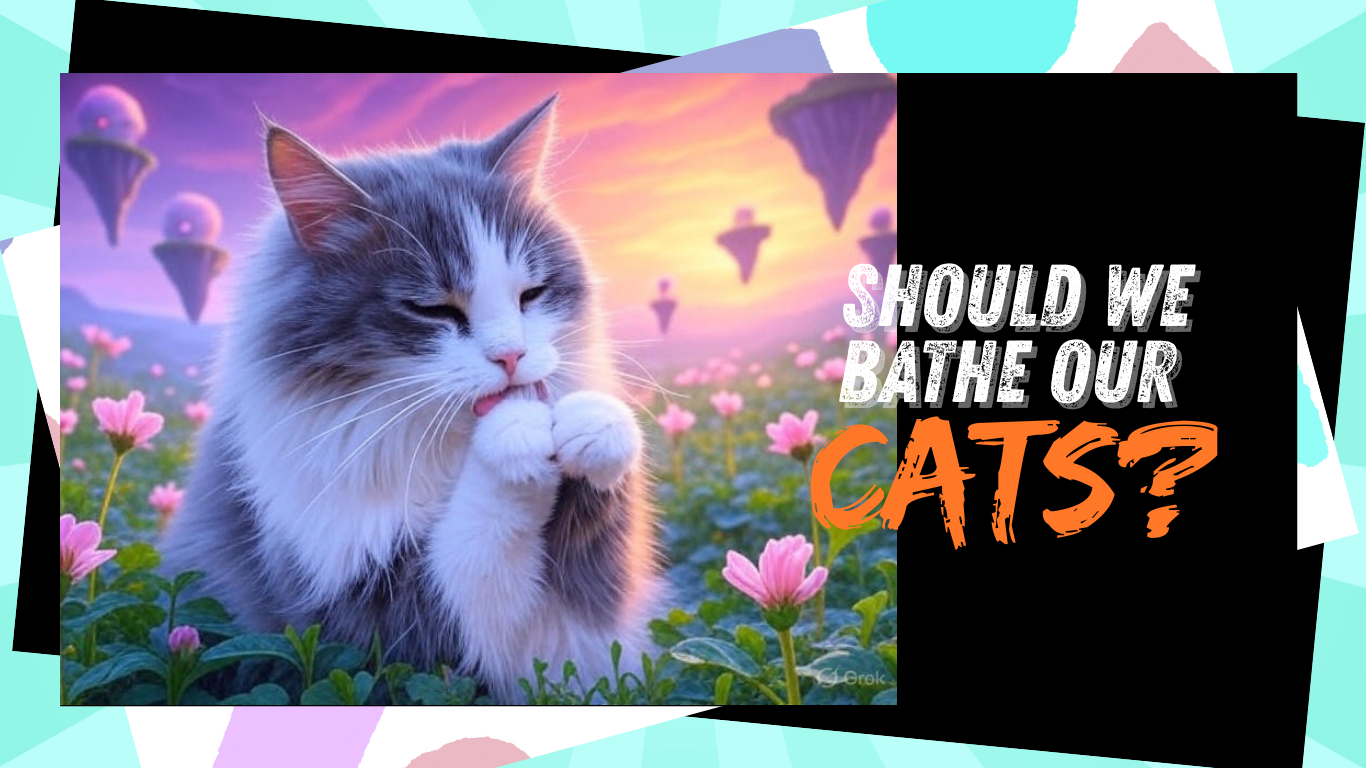 Should We Bathe Our Cats? The Ultimate Guide to Feline Hygiene