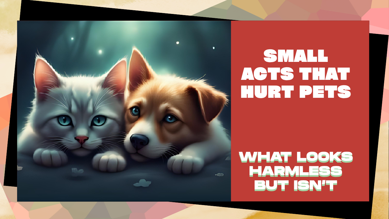 Small acts that hurt pets — what looks harmless but isn’t