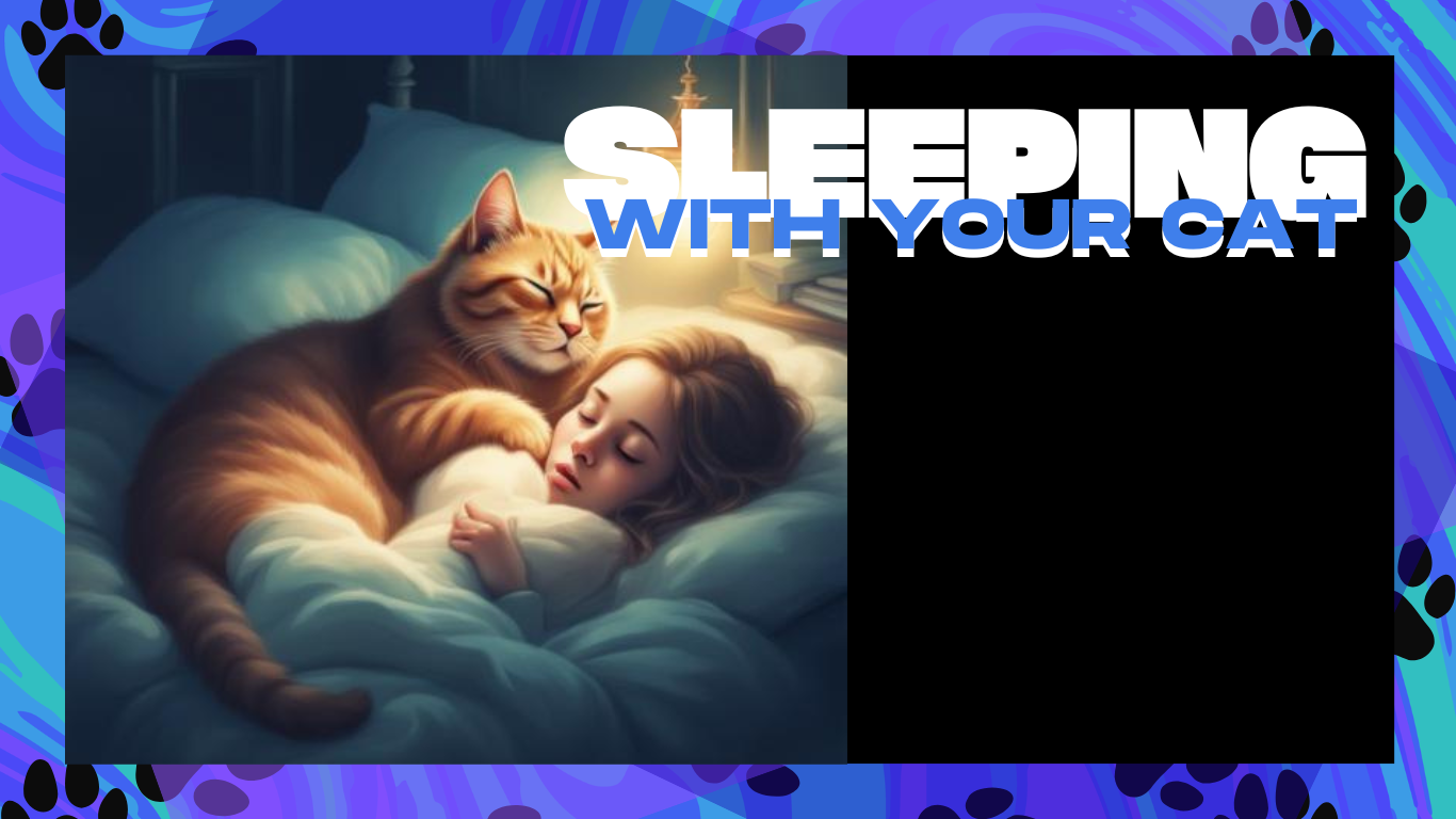 Sleeping With Your Cat: Myths and Realities Every Pet Lover Should Know